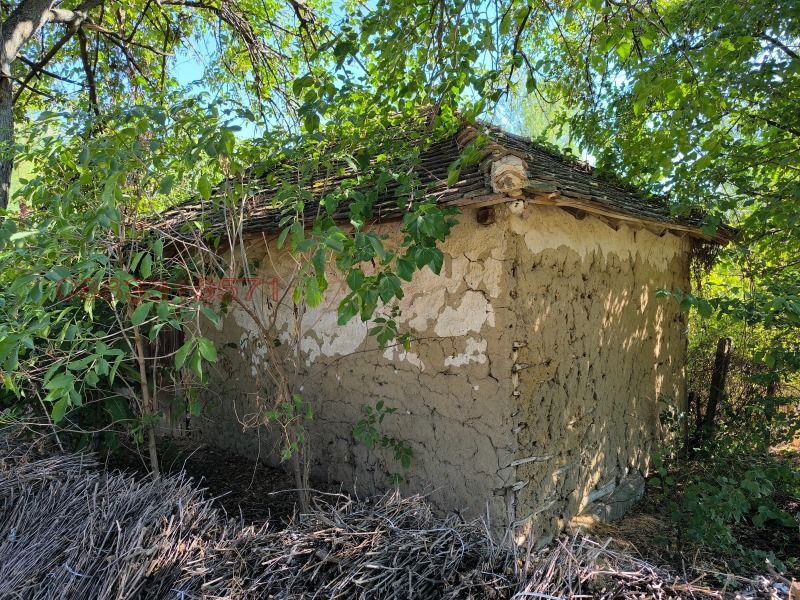 Продава ЗЕМЕДЕЛСКА ЗЕМЯ, с. Тияновци, област Видин, снимка 5 - Земеделска земя - 52781947