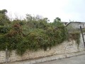 Продава ПАРЦЕЛ, гр. Балчик, област Добрич, снимка 2