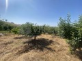 Продава КЪЩА, област Варна, с. Комарево • 120000 € • 51202298 — Holmes.bg