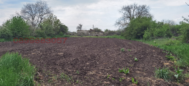 Продава ПАРЦЕЛ, с. Могилище, област Добрич, снимка 6 - Парцели - 52779506