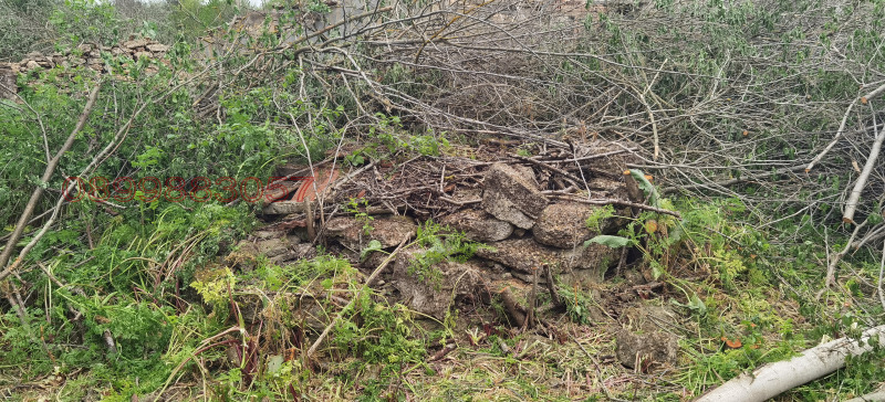 Продава ПАРЦЕЛ, с. Могилище, област Добрич, снимка 4 - Парцели - 52779506