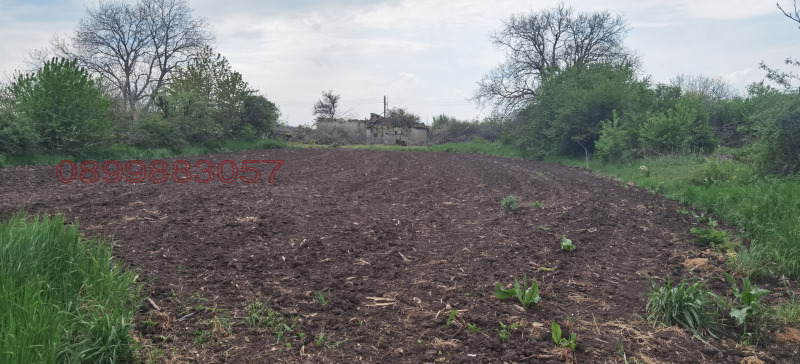 Продава ПАРЦЕЛ, с. Могилище, област Добрич, снимка 5 - Парцели - 52779506