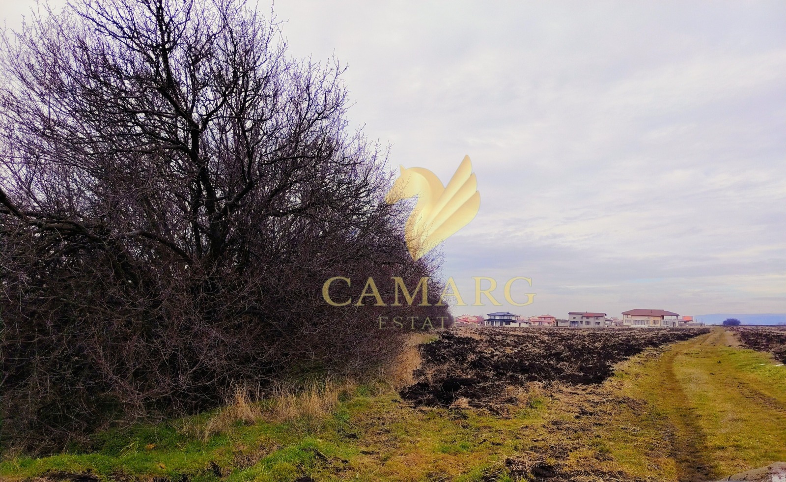 ������� ������ | Imot.bg � ����������� 5