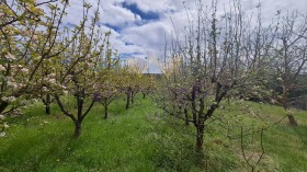 ������� ������ | Imot.bg � ����� ������ 13