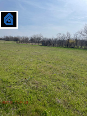 ����� ������� ������,�. ���������, ������ ����� ������