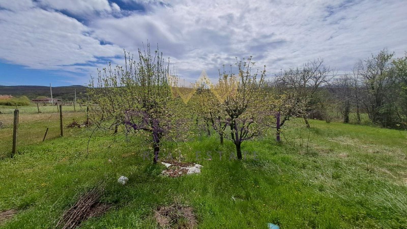 Продава ПАРЦЕЛ, с. Кривини, област Варна, снимка 11 - Парцели - 53199966
