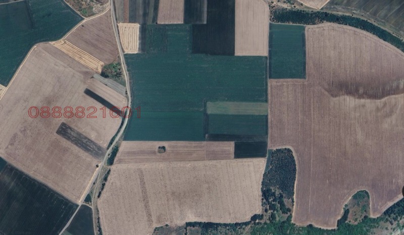 Продава ЗЕМЕДЕЛСКА ЗЕМЯ, с. Полковник Таслаково, област Силистра