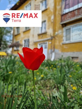 ������� 3-����� | Imot.bg � ����� ������ 7
