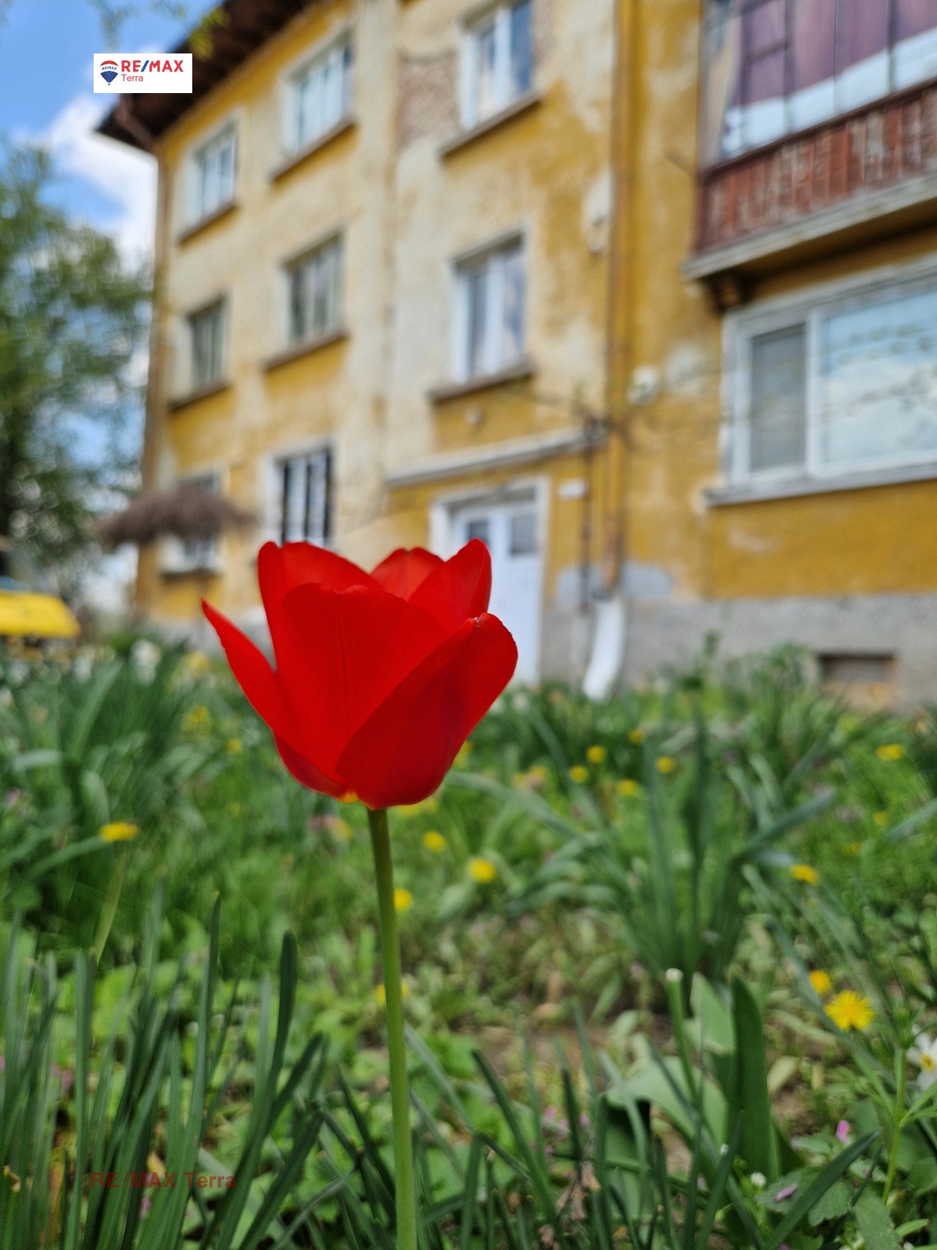 Продава 3-СТАЕН, гр. Долна Митрополия, област Плевен, снимка 6 - Апартаменти - 54055396
