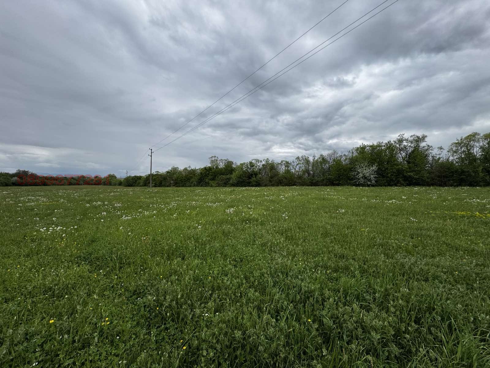 Продава ПАРЦЕЛ, с. Егълница, област Перник, снимка 2 - Парцели - 54783628