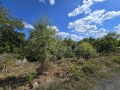 Продава  Парцел област Бургас , с. Росен , 884 кв.м | 46923872 - изображение [5]
