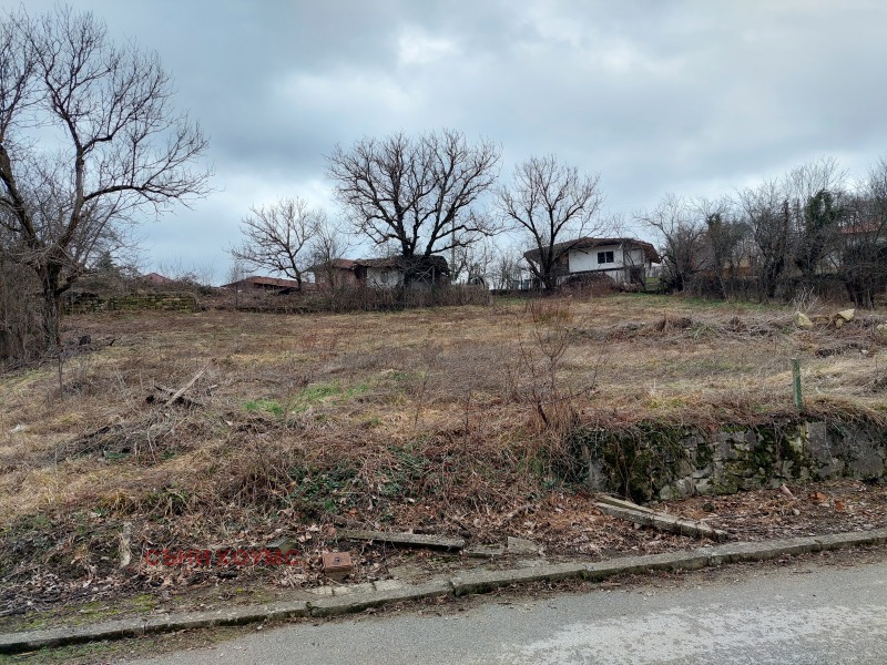 Продава ПАРЦЕЛ в област Велико Търново, с. Костел - 2000 кв.м / 27 500 € » 53 785.33 лв., СЪНИ ХОУМС
