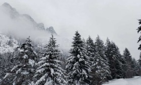 ������� ������ | Imot.bg � ����� ������ 12