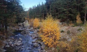 ������� ������ | Imot.bg � ����� ������ 10