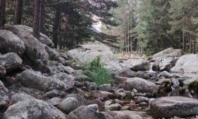 ������� ������ | Imot.bg � ����� ������ 13