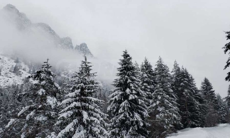 Продава ПАРЦЕЛ, с. Бели Искър, област София област, снимка 12 - Парцели - 53106604