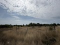 Продава ПАРЦЕЛ, град Варна, м-т Добрева чешма • 36000 € / 70409.88 лв. • 77774662 1