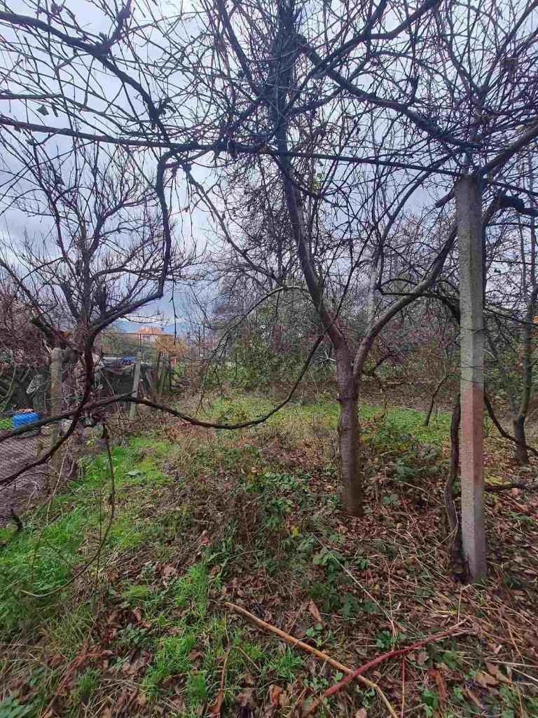 ������� ���� �� ���� | Imot.bg � ����������� 4