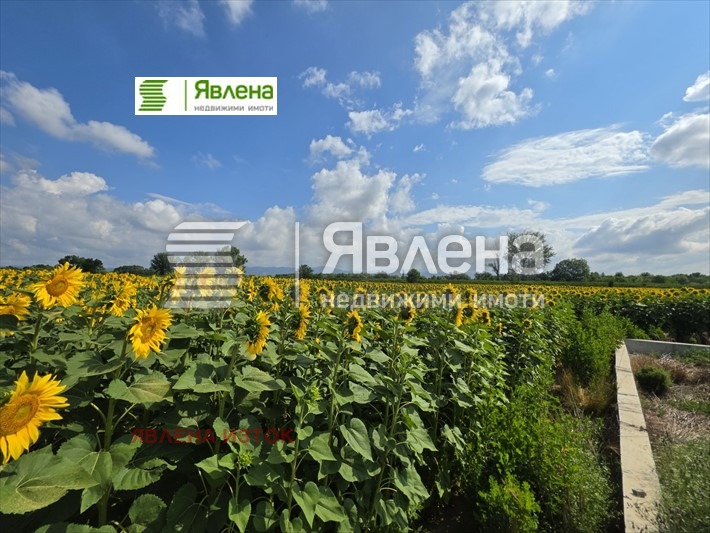 ������� ������ | Imot.bg � ����������� 7