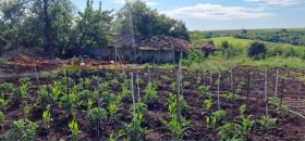 ������� ���� | Imot.bg � ����� ������ 5