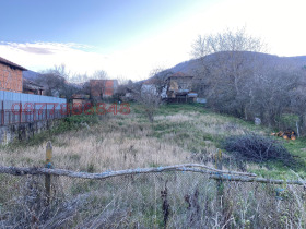 ����� ������� ������,�. ����� �������, ������ �����