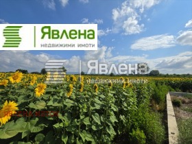 ������� ������ | Imot.bg � ����� ������ 7
