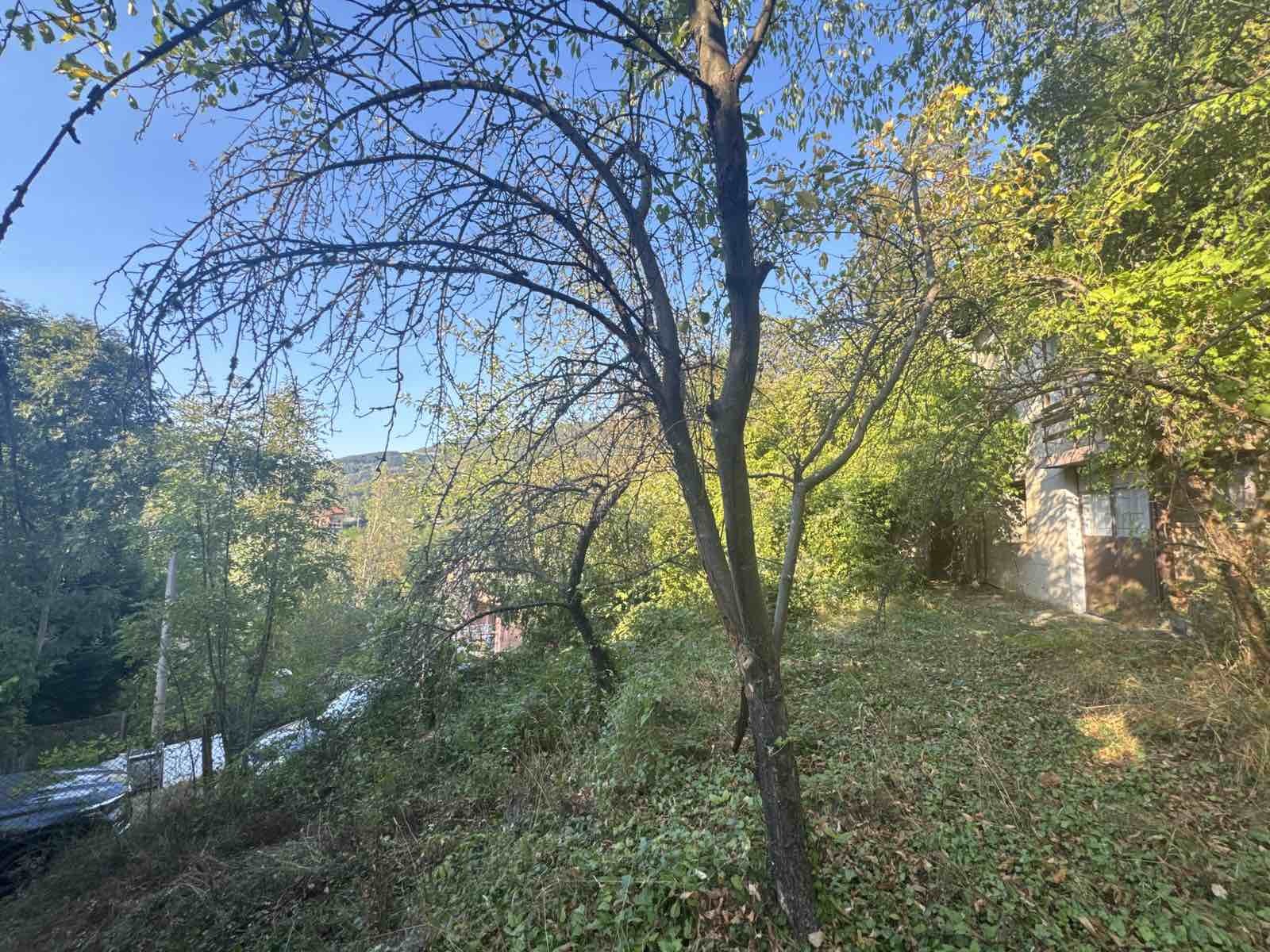 Продава КЪЩА, с. Томпсън, област София област, снимка 13 - Къщи - 54187636