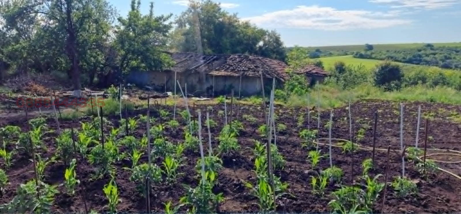 Продава КЪЩА, с. Пчелник, област Добрич, снимка 5 - Къщи - 55903571
