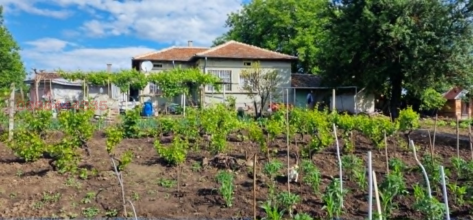 Продава КЪЩА, с. Пчелник, област Добрич