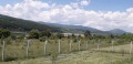 Продава ПАРЦЕЛ, яз. Пчелина, област Перник, снимка 3