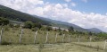 Продава ПАРЦЕЛ, яз. Пчелина, област Перник, снимка 4