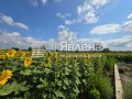 Продава ПАРЦЕЛ, с. Равно поле, област София област, снимка 7