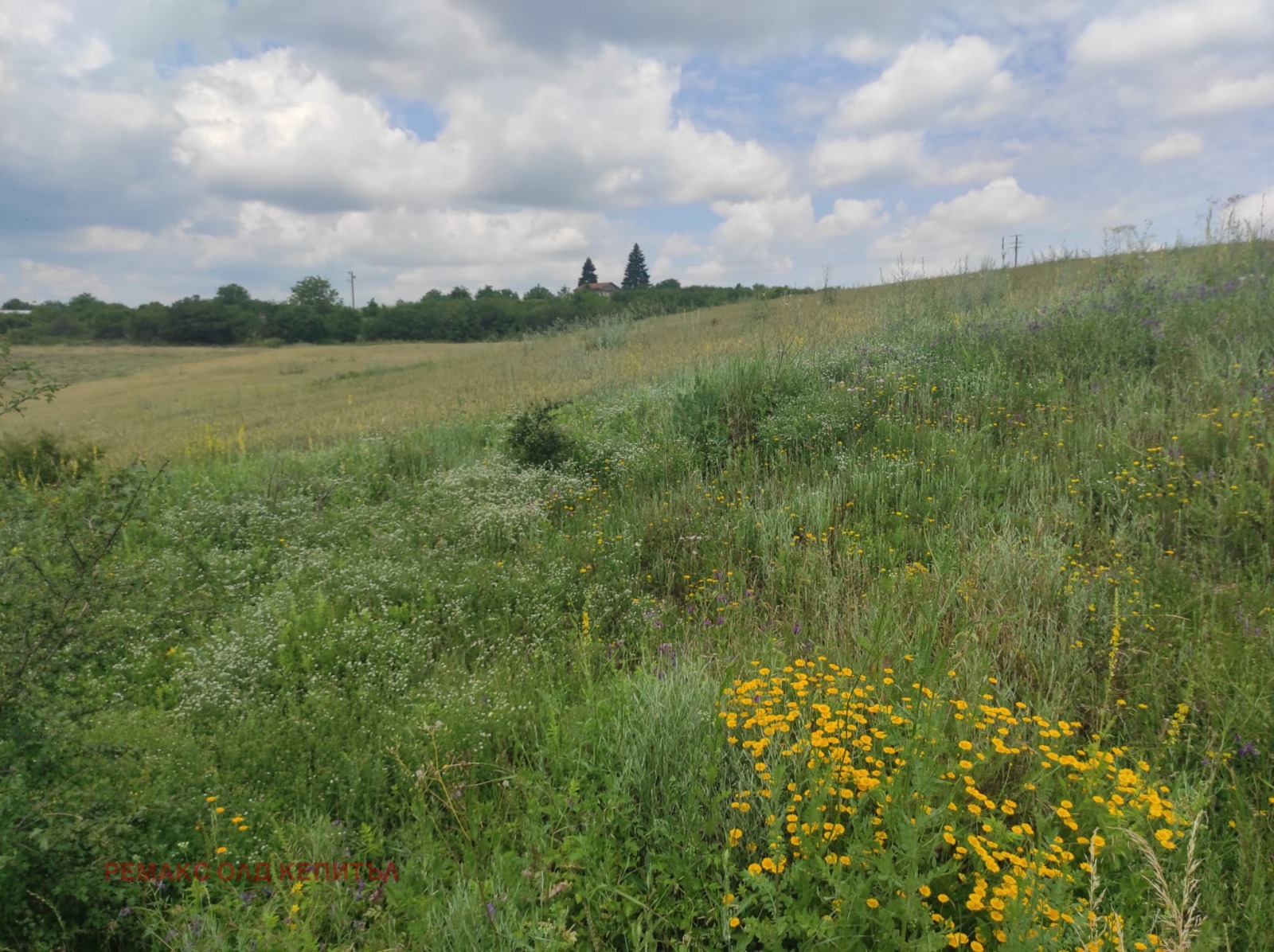 Продава ПАРЦЕЛ | Imot.bg — изображение 2