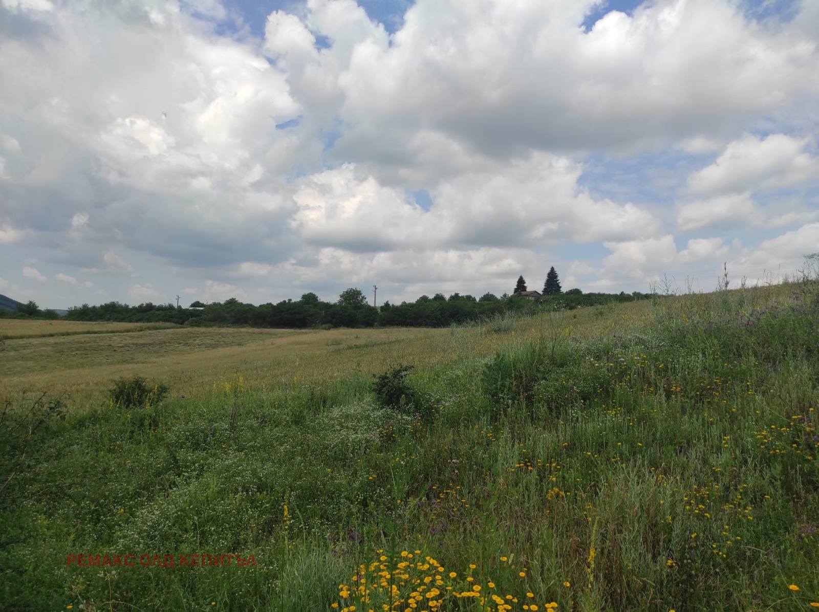 Продава ПАРЦЕЛ | Imot.bg — изображение 3