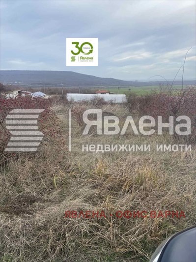 Продава ПАРЦЕЛ, с. Рогачево, област Добрич, снимка 2 - Парцели - 48386096