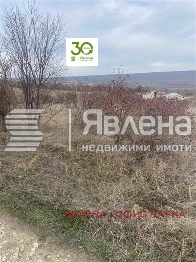 Продава ПАРЦЕЛ, с. Рогачево, област Добрич, снимка 3 - Парцели - 48386096