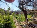 Продава КЪЩА, с. Мараш, област Шумен, снимка 2