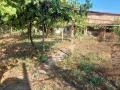 Продава ПАРЦЕЛ, с. Васил Друмев, област Шумен, снимка 3