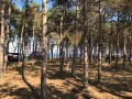 Продава ПАРЦЕЛ, област Добрич, с. Крапец • 699900 € • 55873005 — Holmes.bg