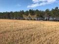 Продава ПАРЦЕЛ, област Добрич, с. Крапец • 699900 € • 55873005 — Holmes.bg