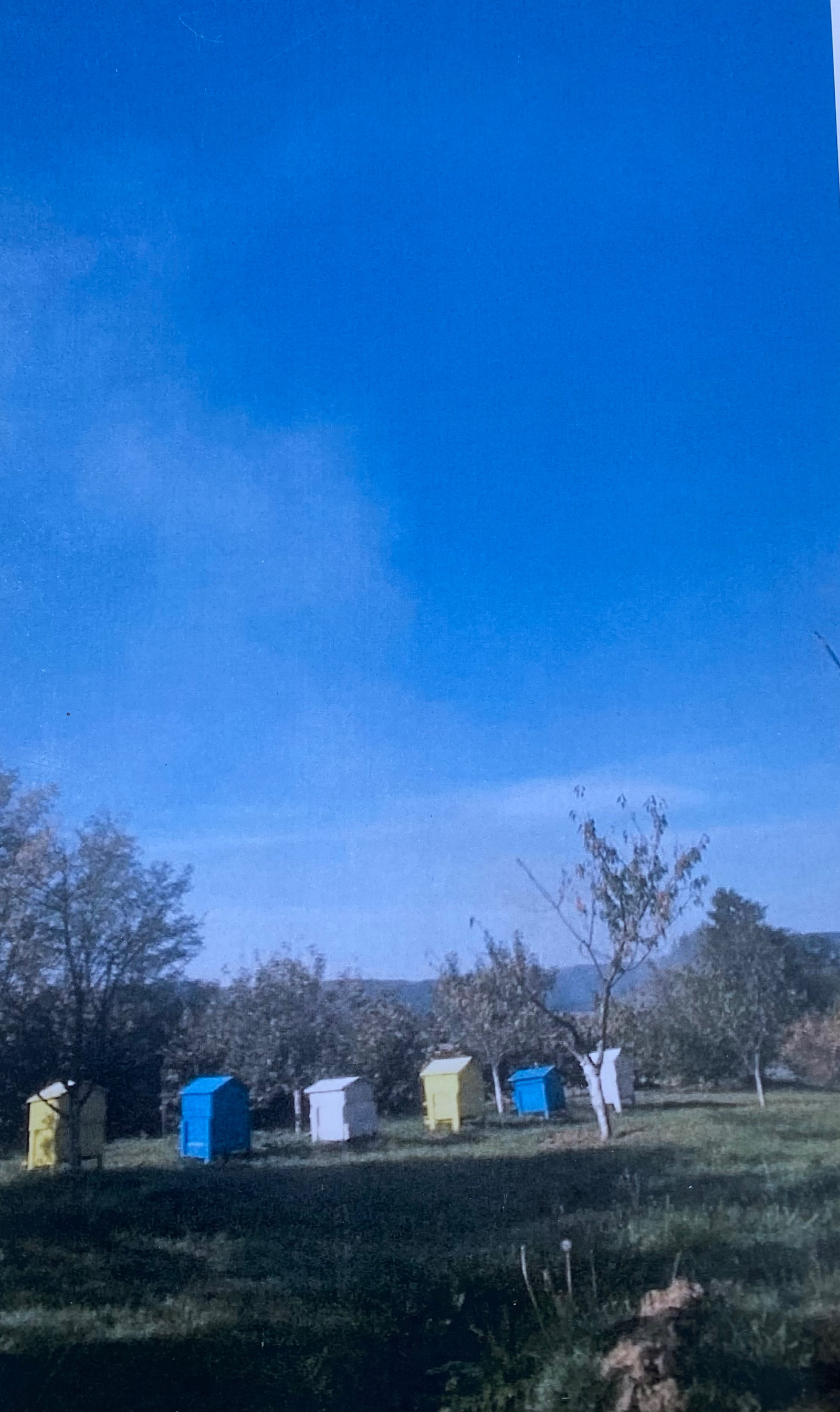 Продава ПАРЦЕЛ | Imot.bg — изображение 8