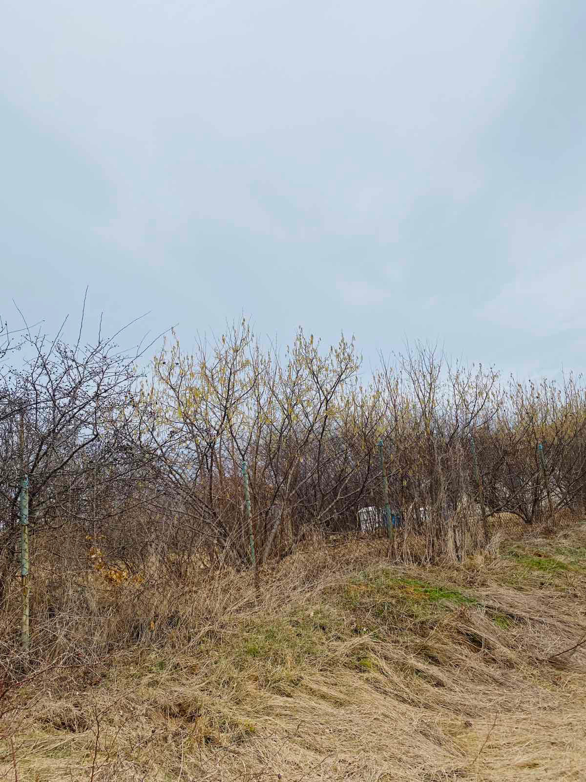 Продава ПАРЦЕЛ | Imot.bg — изображение 7