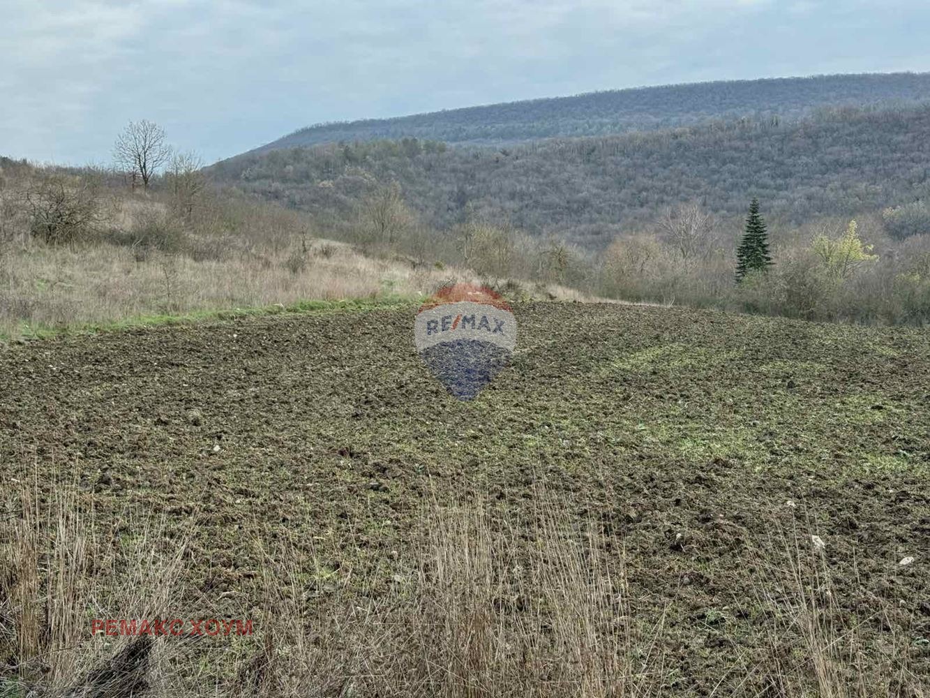 ������� ������ | Imot.bg � ����������� 5