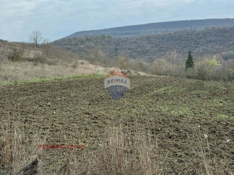 Продава ПАРЦЕЛ, с. Църква, област Добрич, снимка 5 - Парцели - 52970726