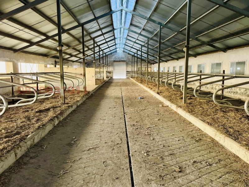 Продава БИЗНЕС ИМОТ, с. Владимирово, област Монтана, снимка 8 - Други - 53424067