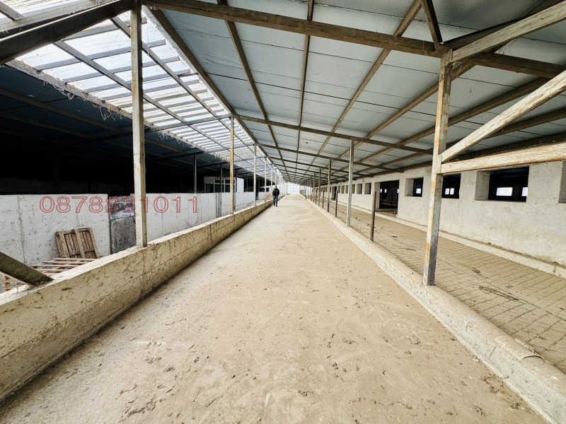 Продава БИЗНЕС ИМОТ, с. Владимирово, област Монтана, снимка 7 - Други - 53424067