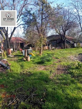 ����� ������� ����,�. ���� ����, ������ ����