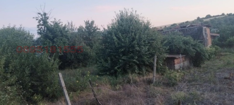 Продава ПАРЦЕЛ, с. Паничарево, област Кюстендил, снимка 3 - Парцели - 52779845