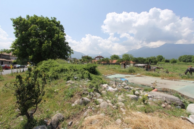 De vânzare  Complot regiunea Blagoevgrad , Bansco , 1215 mp | 40764961 - imagine [9]