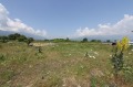Продава ПАРЦЕЛ, област Благоевград, гр. Банско • 72000 € • 58669050 — Holmes.bg
